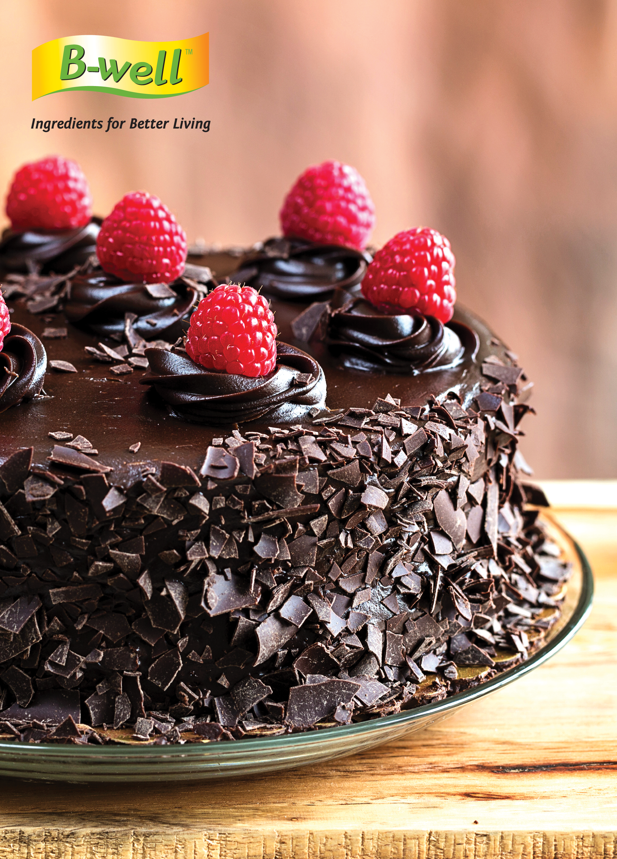 Mayo Chocolate Cake Mayo Chocolate Cake