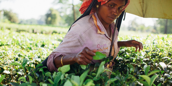 How To Encourage Rural Women To Contribute In The Tech Industry