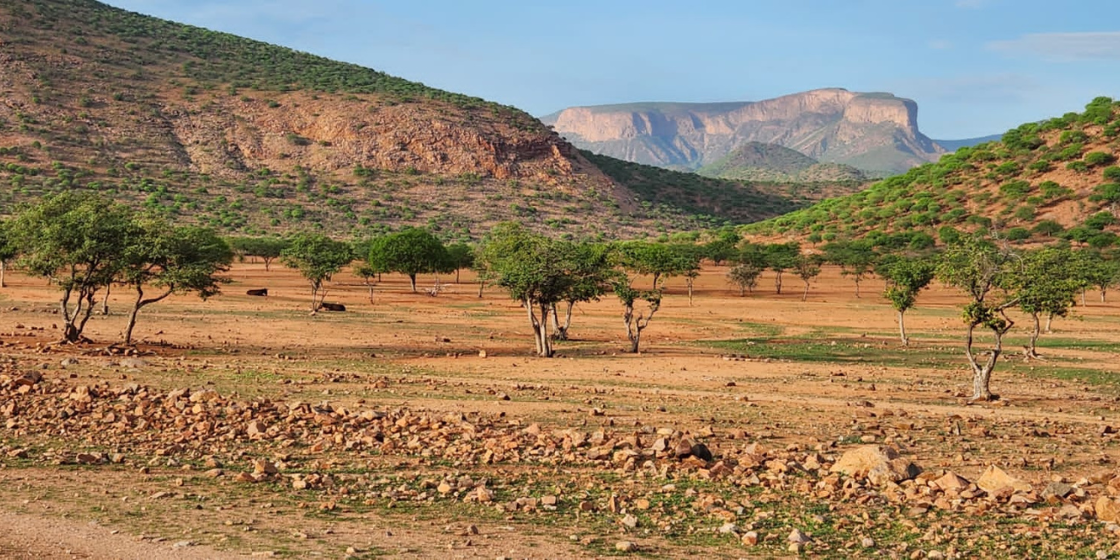 QGC Takes A Leap Into The Sustainable Nickel Mining Sphere