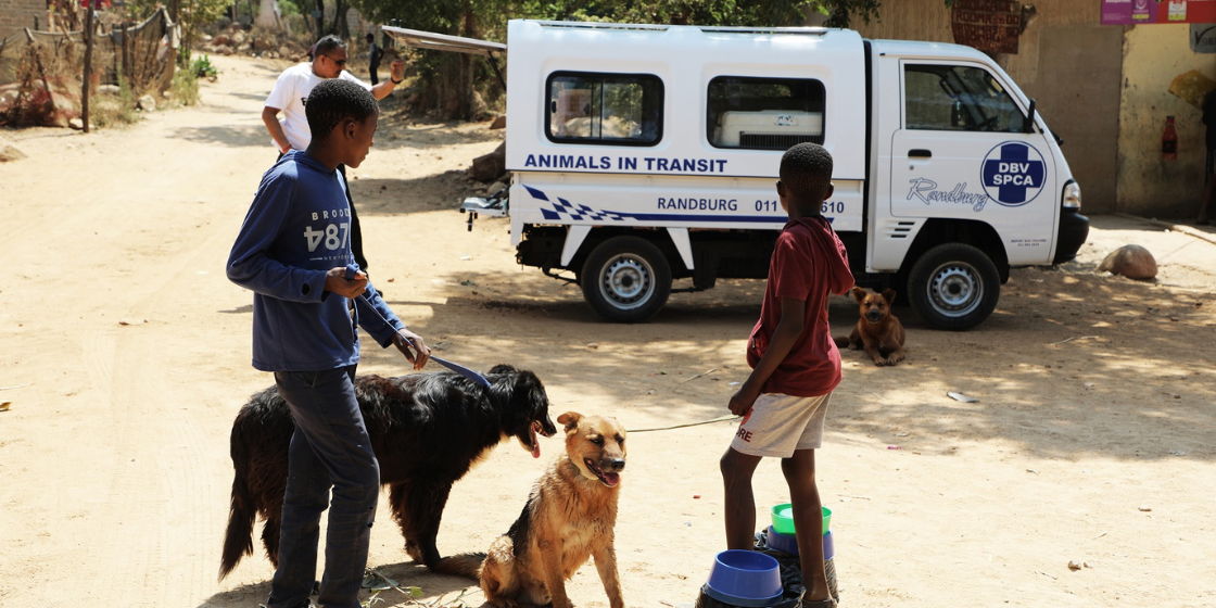 The Quinton van der Burgh Foundation Partners With The SPCA The Quinton van der Burgh Foundation Partners With The SPCA