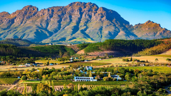 The Stellenbosch Wine Route – Paving SA’s Wine Tourism Sector For 50 Years he Stellenbosch Wine Route - Paving SA’s Wine Tourism Sector For 50 Years