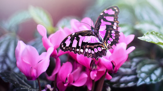 Transform Your Life