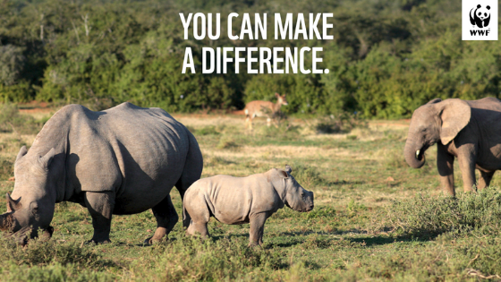 WWF South Africa Launches Drive To Encourage South Africans To Build Back Better WWF South Africa Launches Drive To Encourage South Africans To Build Back Better