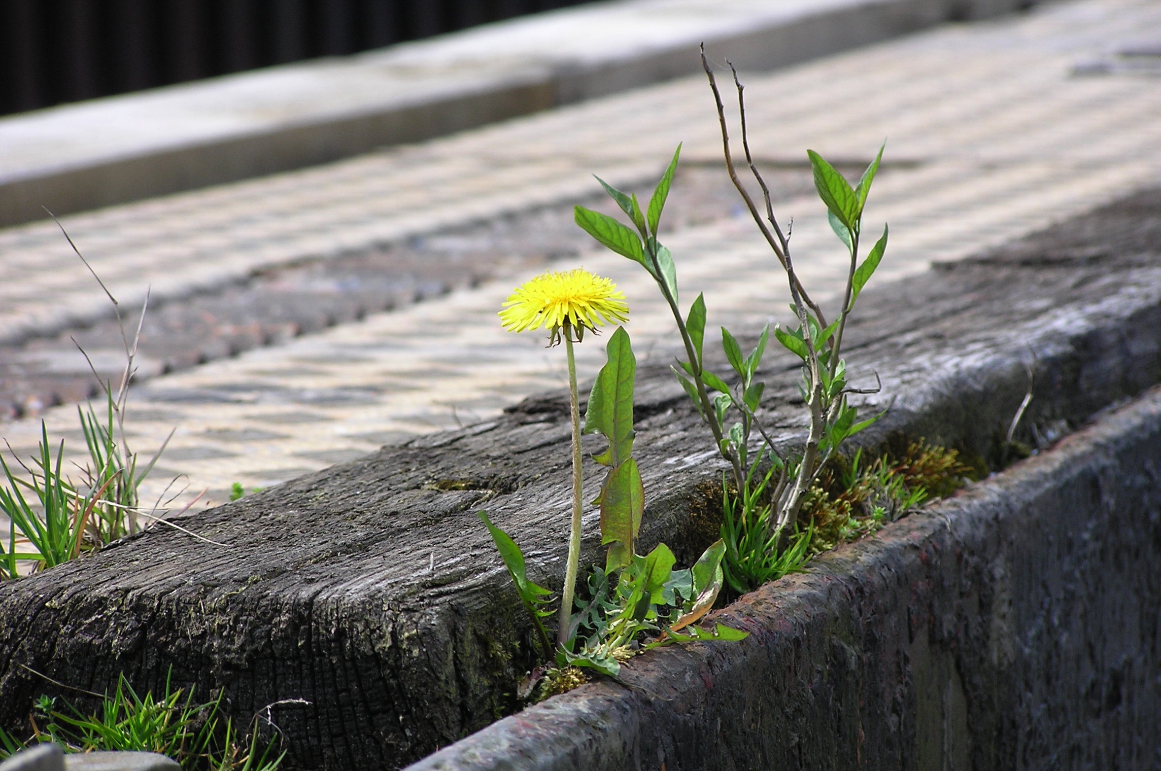 Are You Resisting Change?